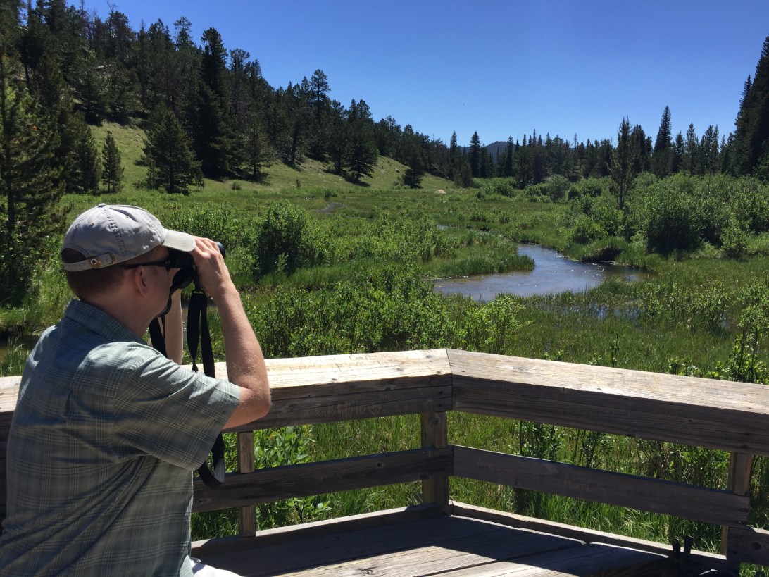 Rocky Mountain National Park