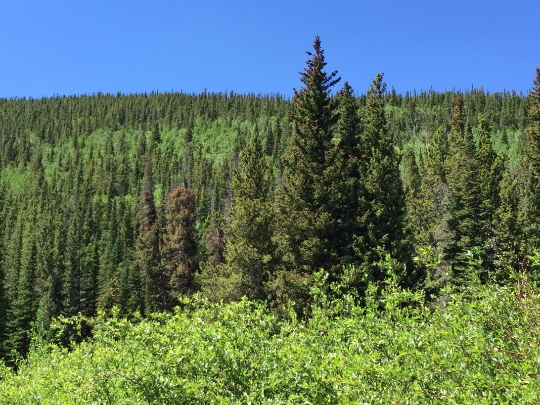 Rocky Mountain National Park