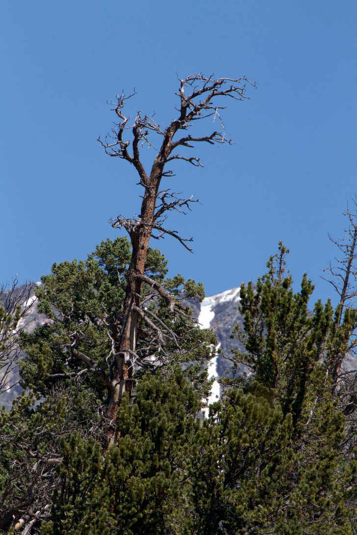 Rocky Mountain National Park