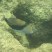 Kauia snorkeling