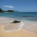 Kauia snorkeling