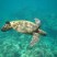 Kauia snorkeling