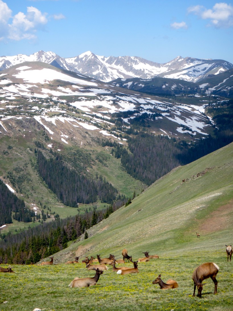 Rocky Mountain NP