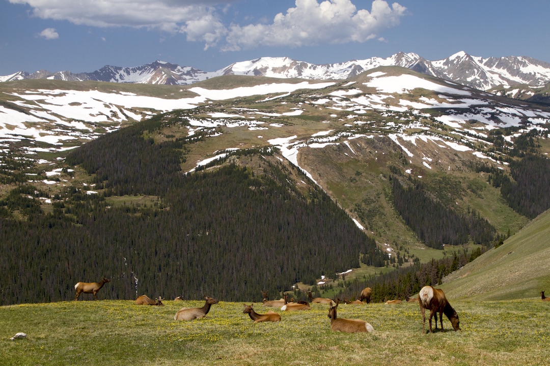 Rocky Mountain National Park