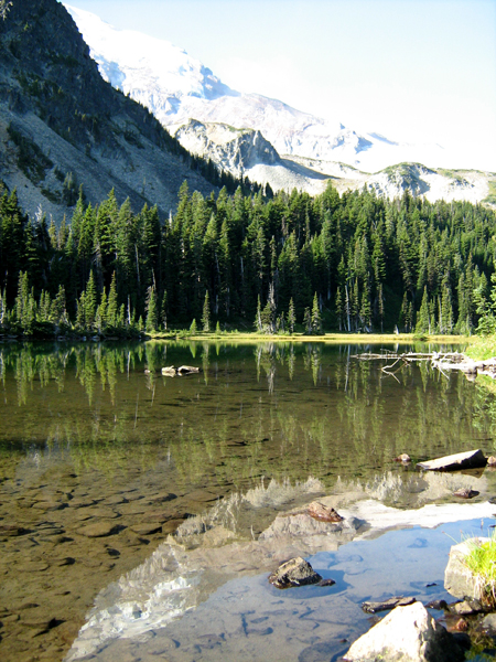 Mt. Rainier NP