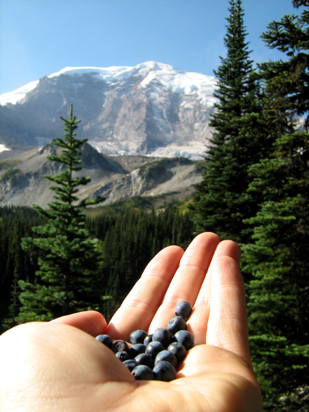 Mt. Rainier NP