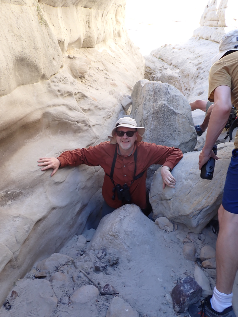 slot canyon, White Cliffs