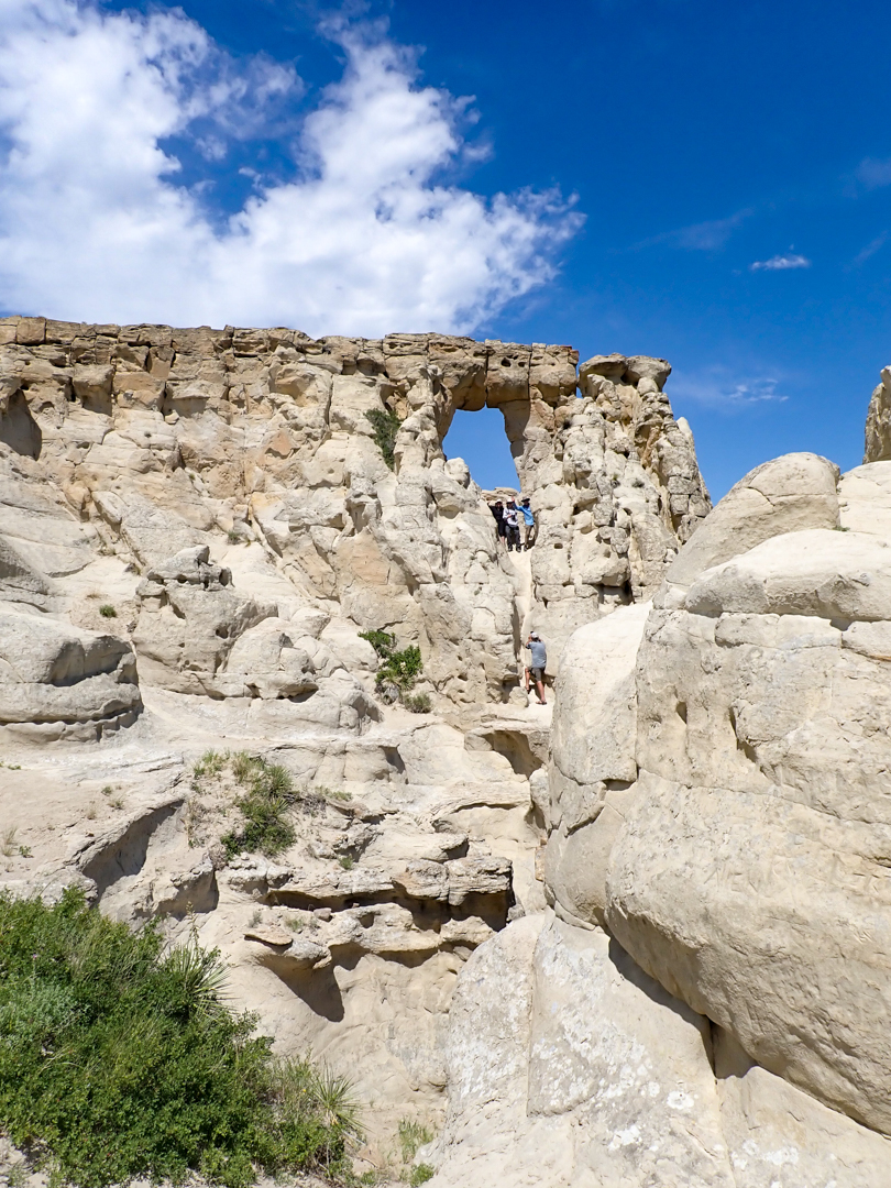 Upper Missouri River