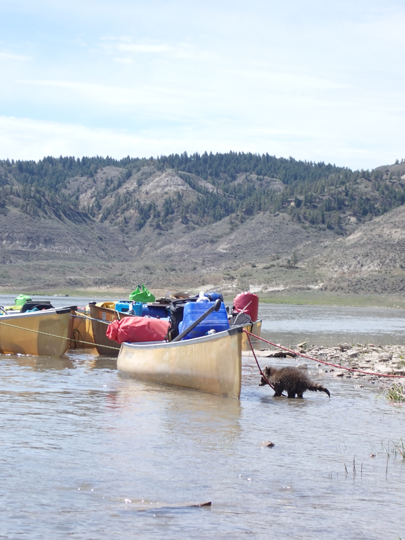 Upper Missouri River