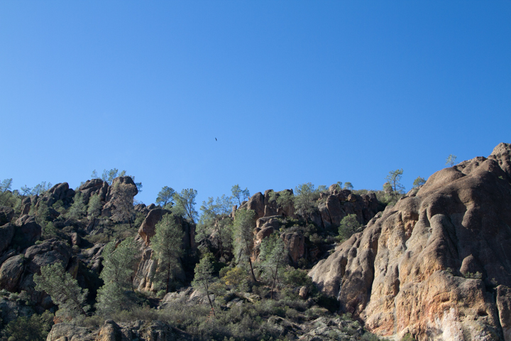 Pinnacles NP