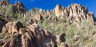 Pinnacles NP
