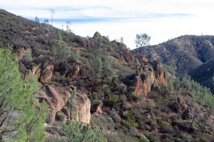 Pinnacles NP
