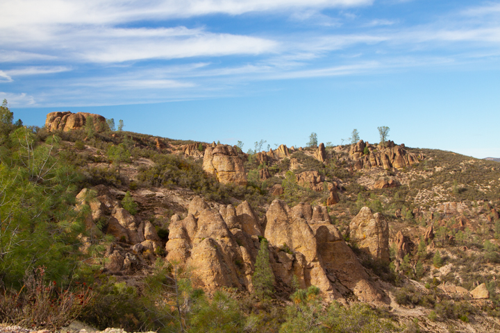 Pinnacles NP
